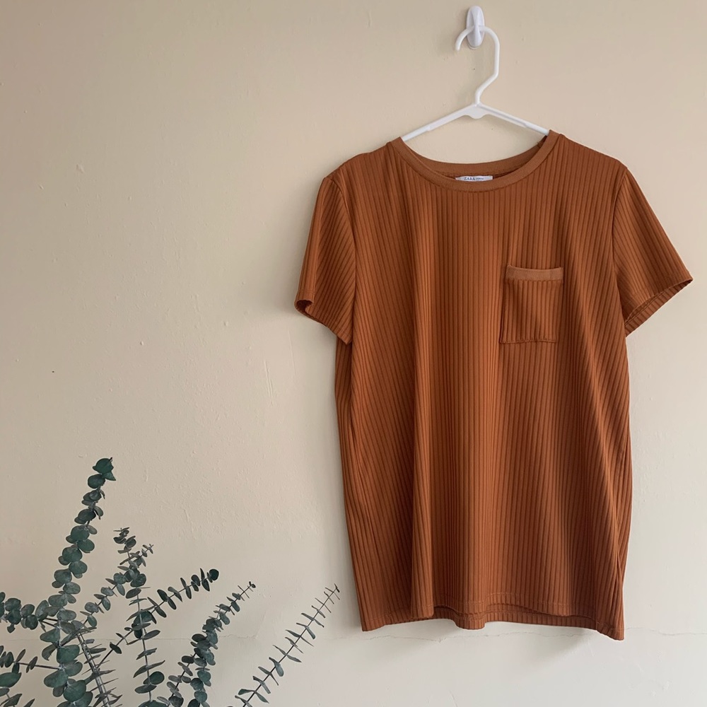 SOLD Zara Crewneck Vertical Stripe Stretch Shirt